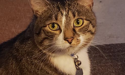 Highland Veterinary Clinic