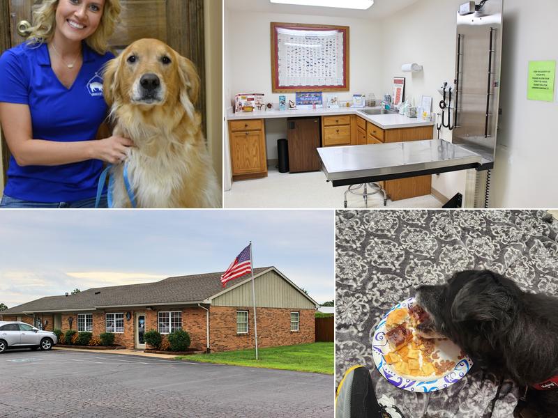Warrick Veterinary Clinic - Newburgh Plaza