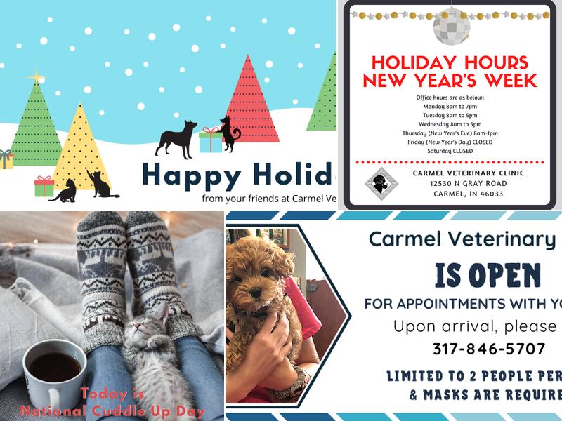 Carmel Veterinary Clinic: Sarah Lee DVM