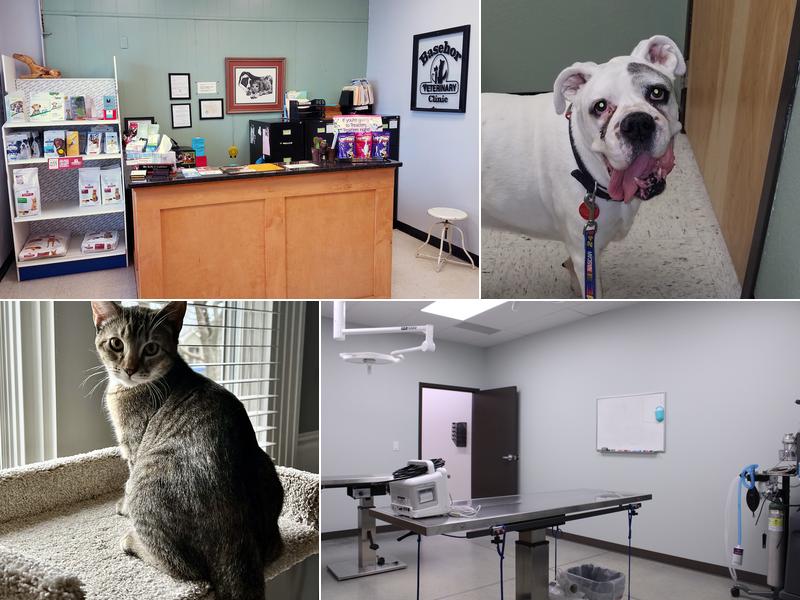 Basehor Veterinary Clinic