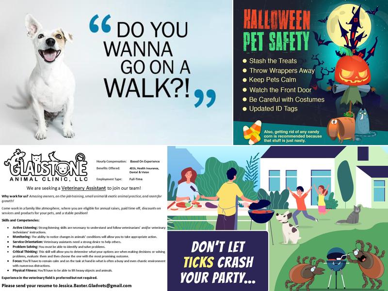 Gladstone Animal Clinic LLC: Rambo Andrew W DVM