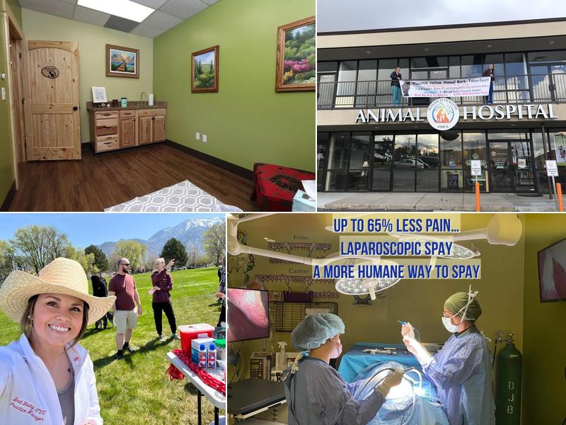 Wasatch Hollow Animal Hospital