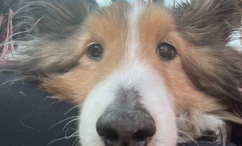 Miller Kenneth L DVM Bloomington