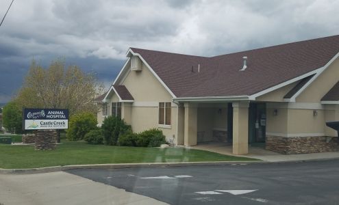 Coldwater Animal Hospital