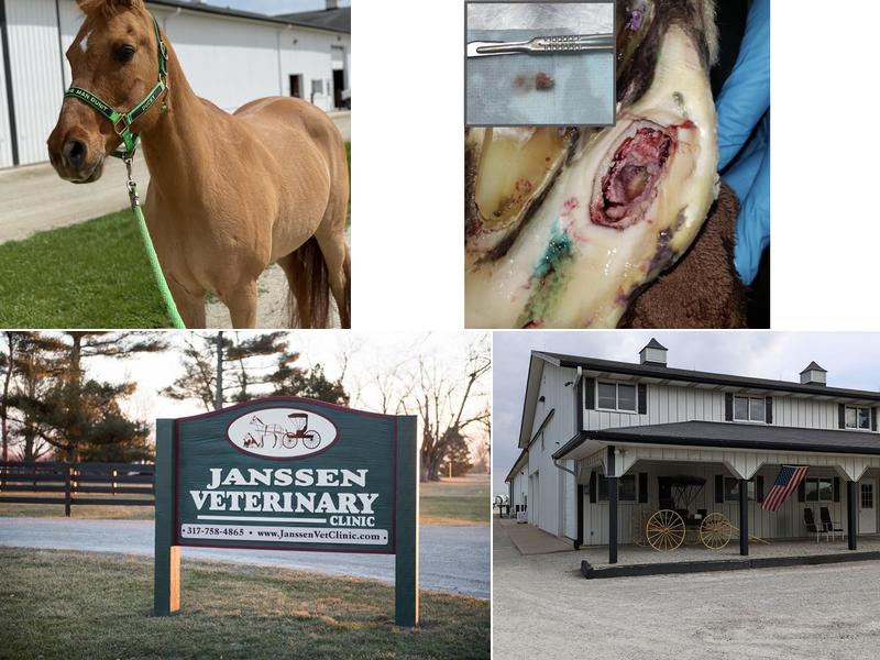 Janssen Veterinary Clinic