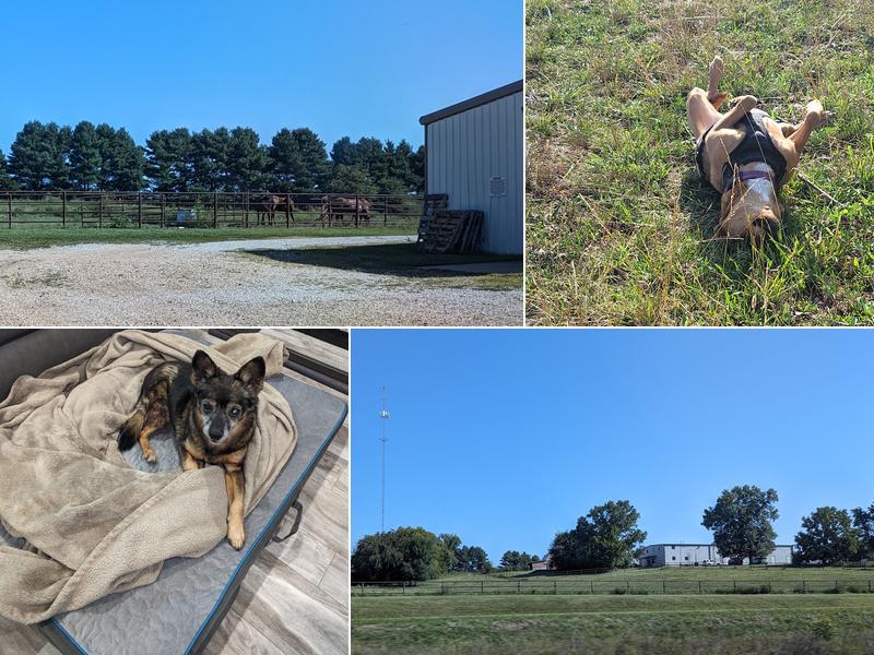 Whetstone Veterinary Clinic