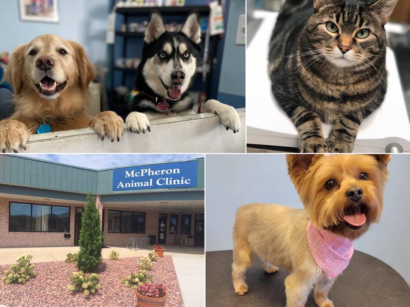 McPheron Animal Clinic