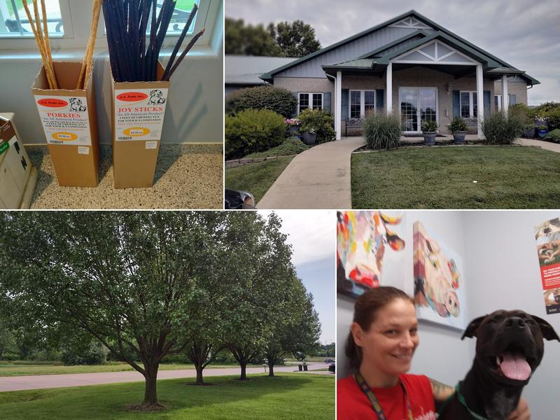 St James Veterinary Medical Center