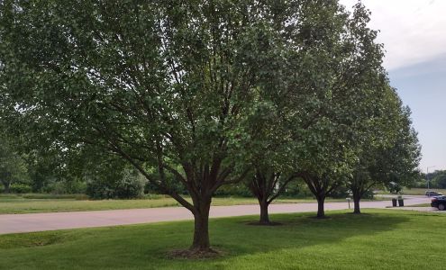 St James Veterinary Medical Center 201 Matlock Dr, St James Missouri 65559