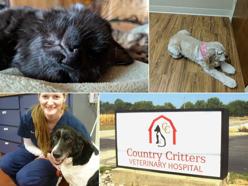 Country Critters Veterinary Hospital