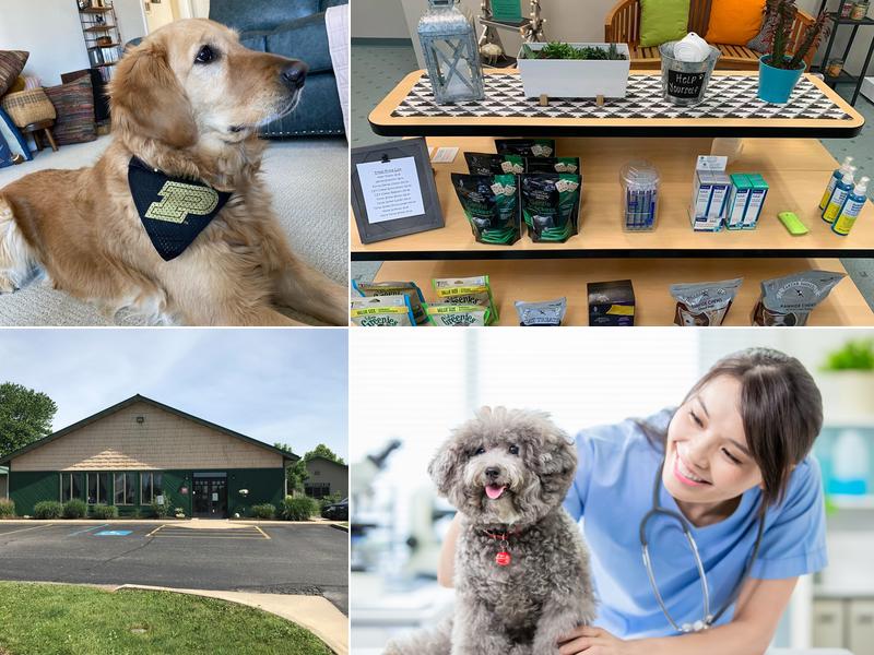 Pets and Vets as Partners
