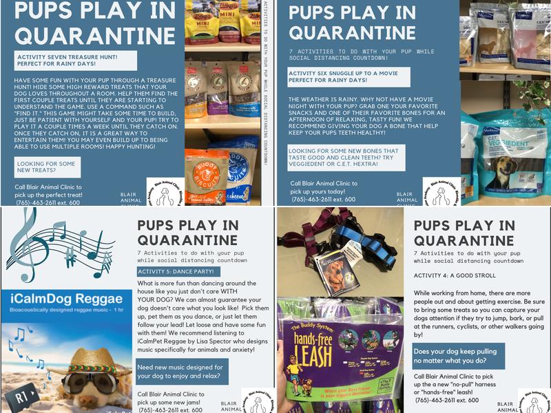 Blair Animal Clinic Klondike: Banker Lisa Blair DVM