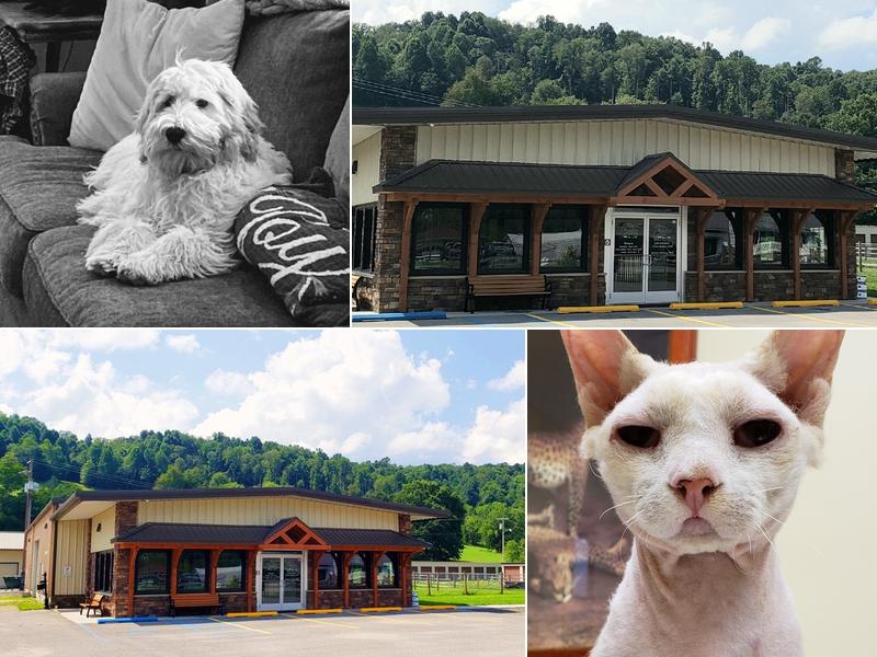 Allegheny Veterinary Services