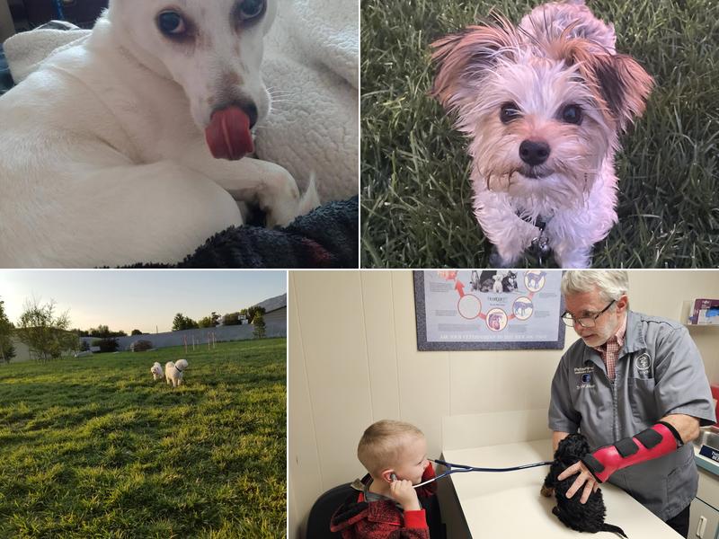 PetsFirst! Wellness Center