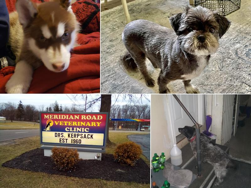 Kerpsack Veterinary Clinic