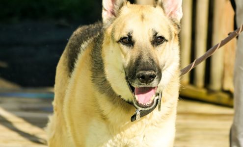 White Hall Animal Clinic Fairmont