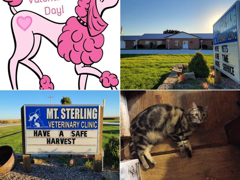 Mt Sterling Veterinary Cln