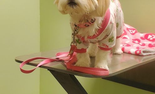 Wycliff Animal Clinic