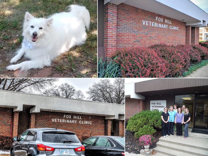 Fox Hill Veterinary Clinic