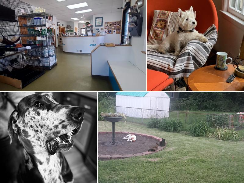 Olathe West Veterinary Care