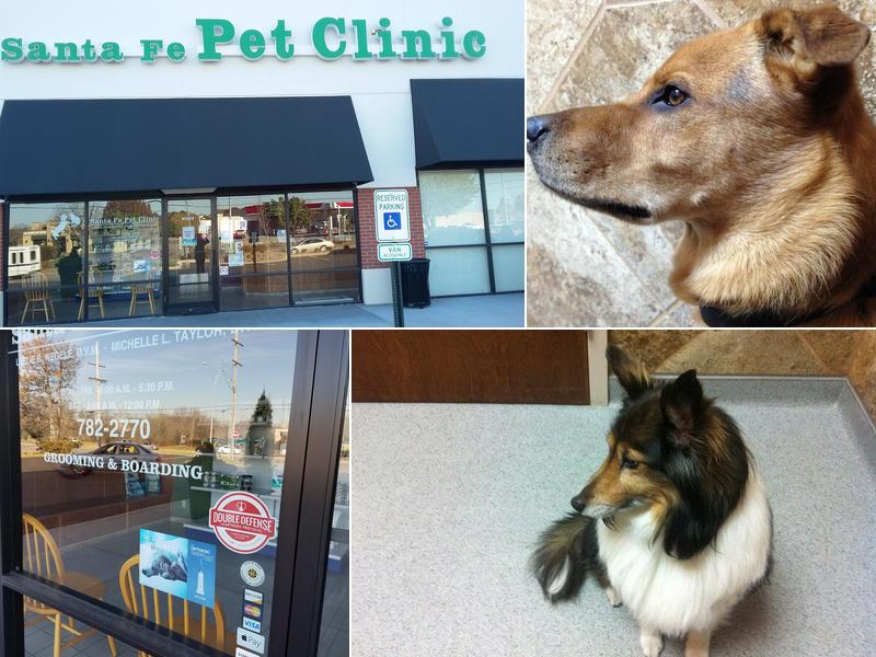 Santa Fe Pet Clinic: Dr. Leslie Wegele, DVM