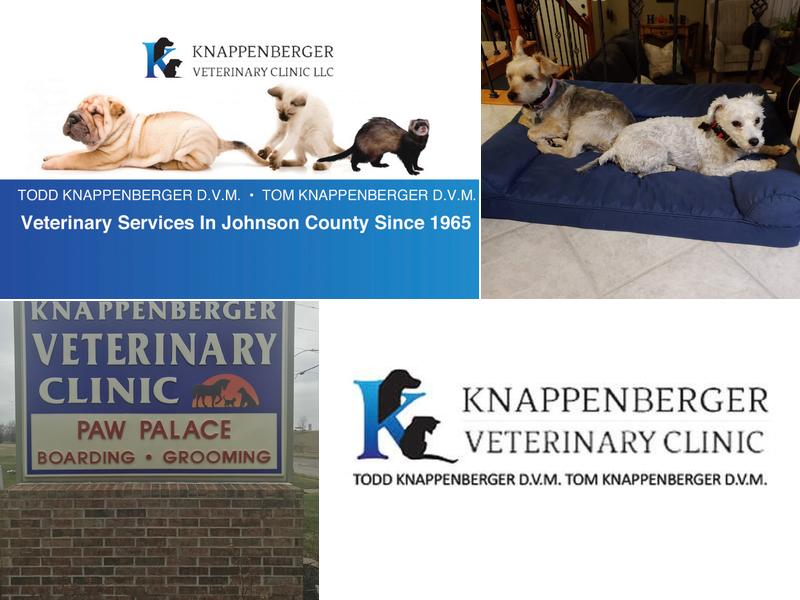 Dr. Todd Knappenberger