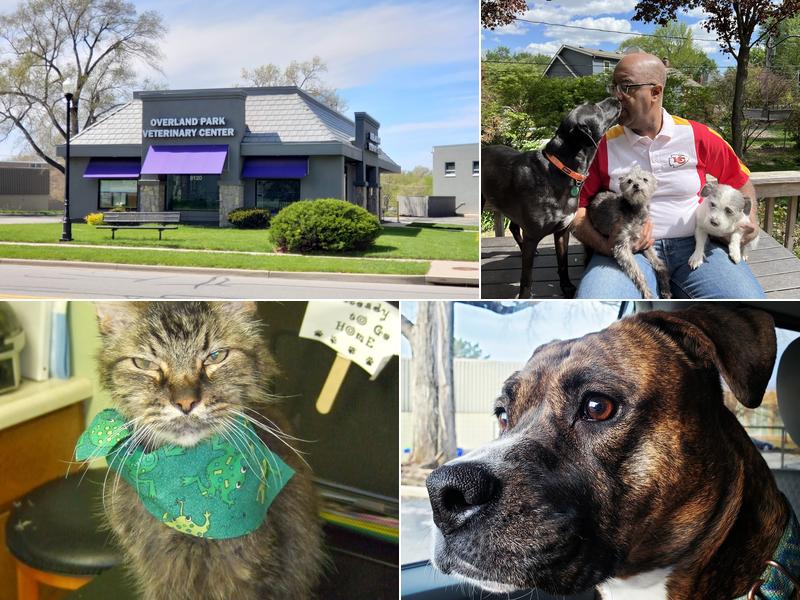 Overland Park Veterinary Center