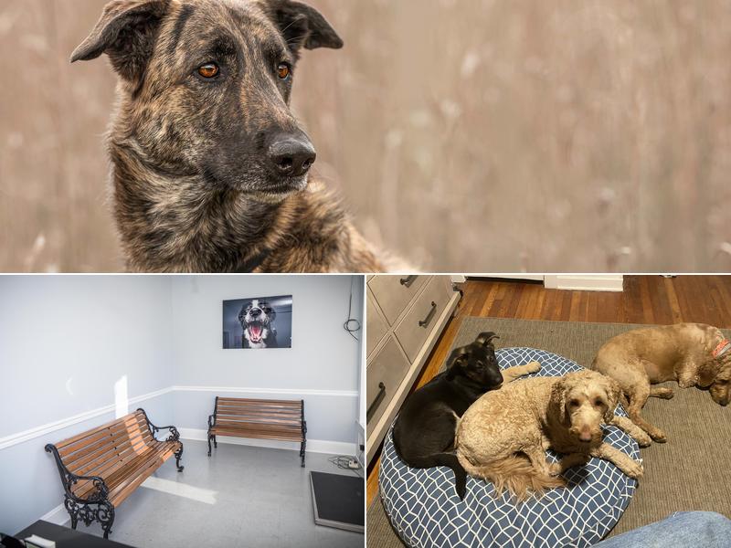 Brunswick Veterinary Office