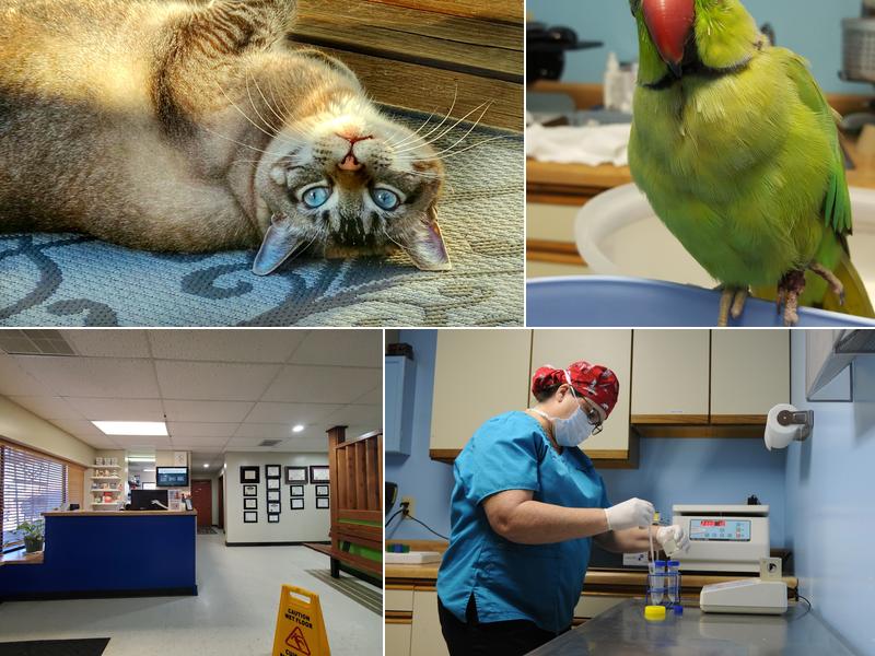 University Veterinary Care Center, P.A.