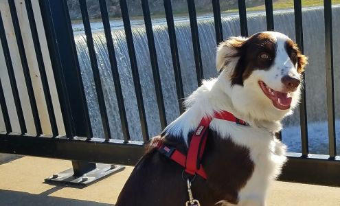 Paw Prints Animal Hospital 4144 SE 45th St, Berryton Kansas 66409