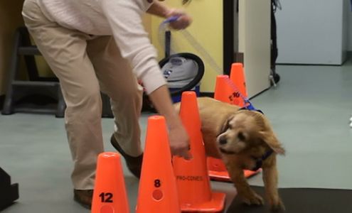 Family Veterinary Hospital of Stone Ridge