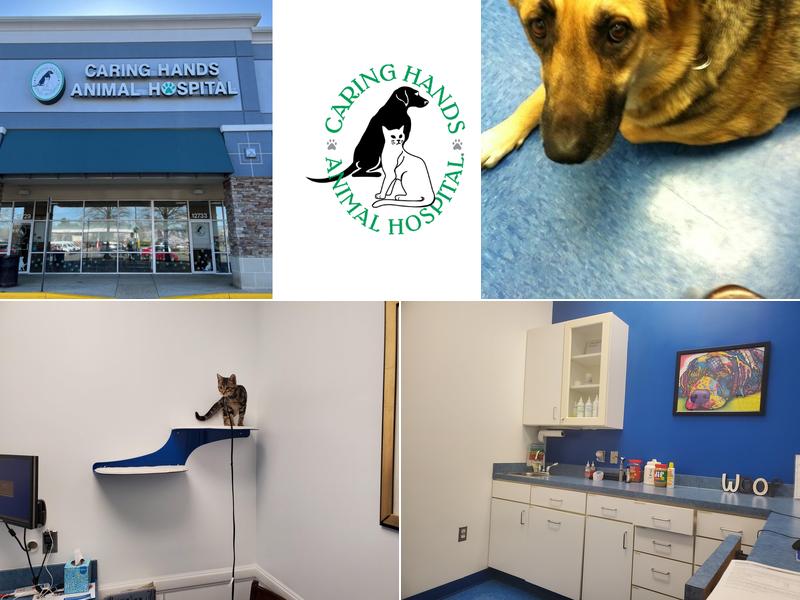 Caring Hands Animal Hospital - Bristow