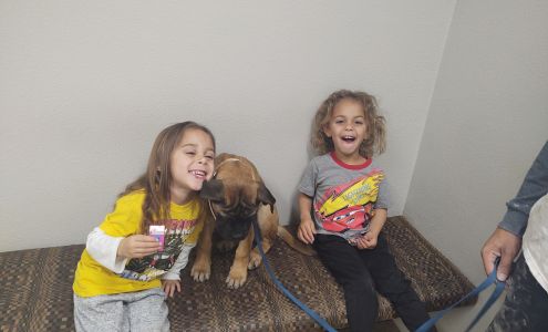 Dr. Kelly Houston St. George