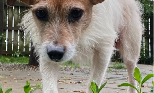 Winding River Animal Clinic