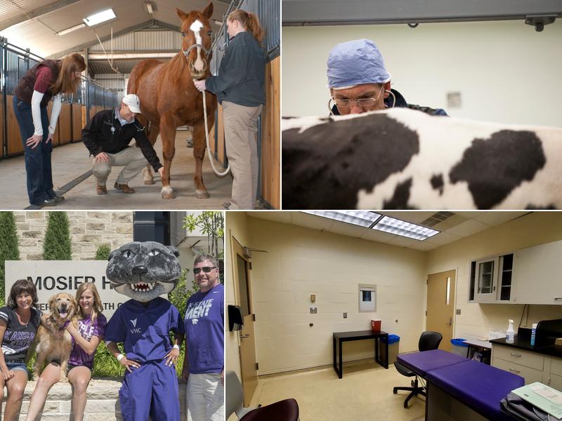 Veterinary Health Center at Kansas State University