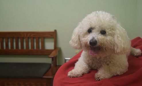 Little Apple Veterinary Hospital Manhattan