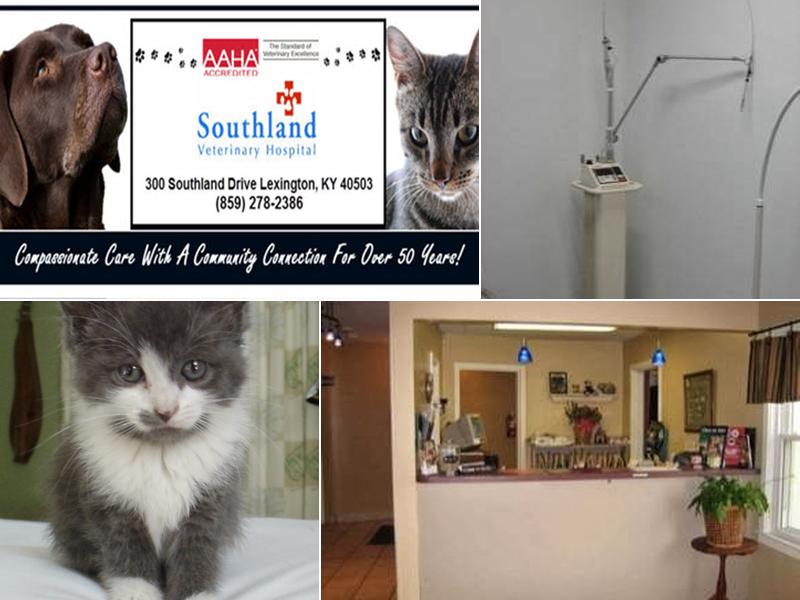 Southland Veterinary Hospital