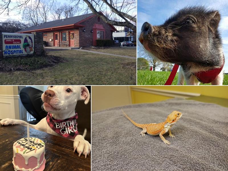 Pennyroyal Small & Exotic Animal Hospital