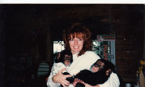 All Creatures Great & Small Animal Hospital