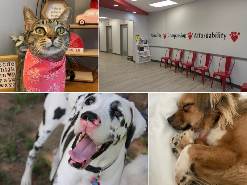 Blue Paw Primary Pet Care