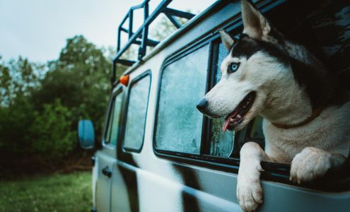 Hartland Park Animal Hospital