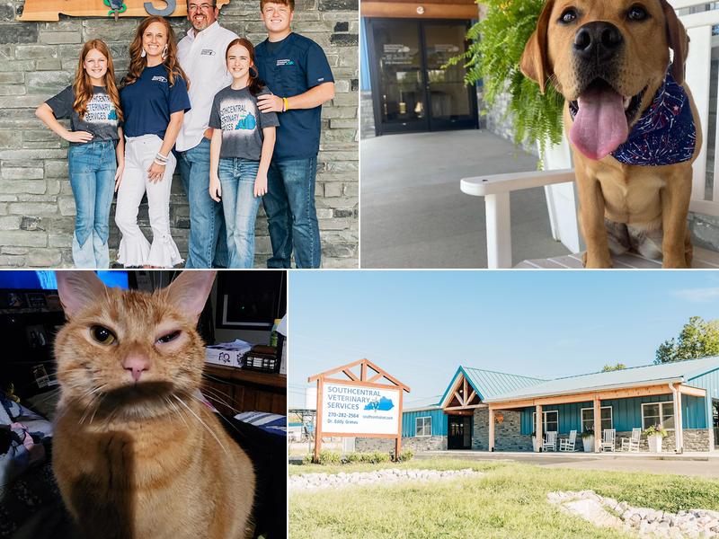 Southcentral Veterinary Services