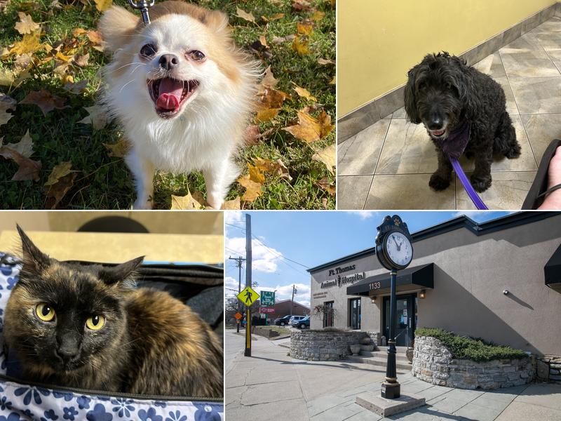 Fort Thomas Animal Hospital