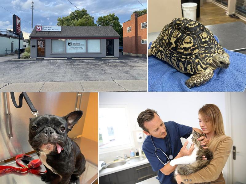 Mariemont Veterinary Clinic
