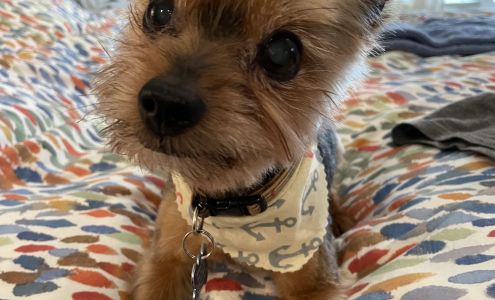 Oakley Square Animal Hospital