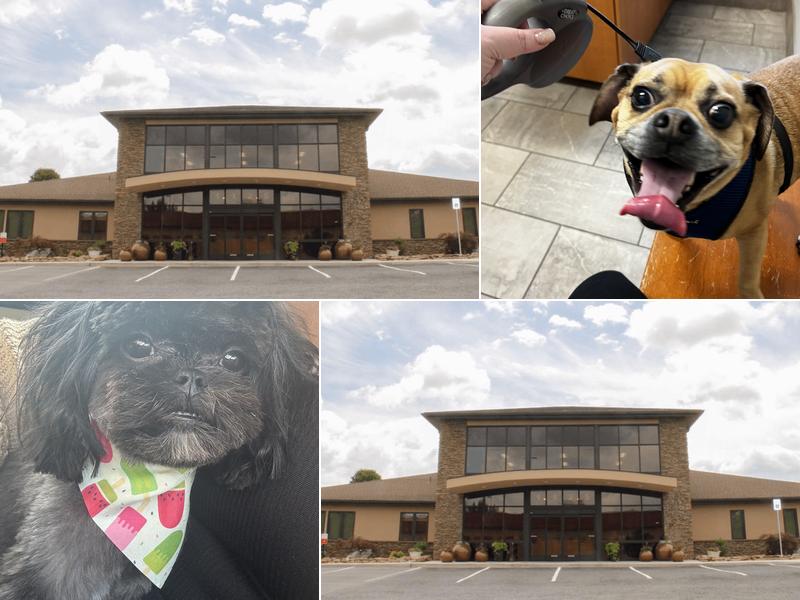 Mid-Atlantic Veterinary Hospital