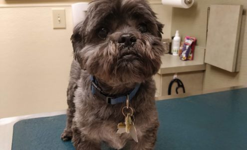 Cincinnati Animal Medical Center