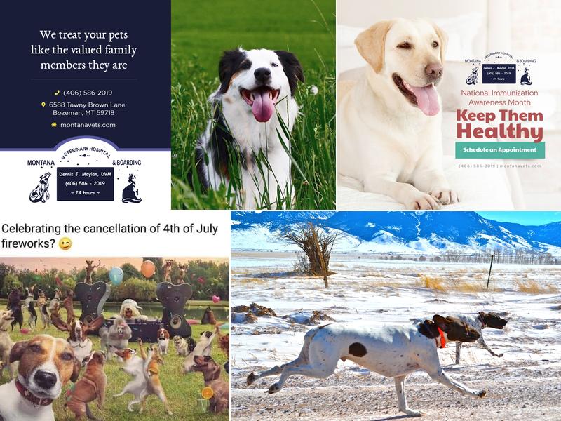 Montana Veterinary Hospital & Boarding