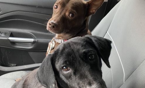 Turkey Foot Veterinary Clinic