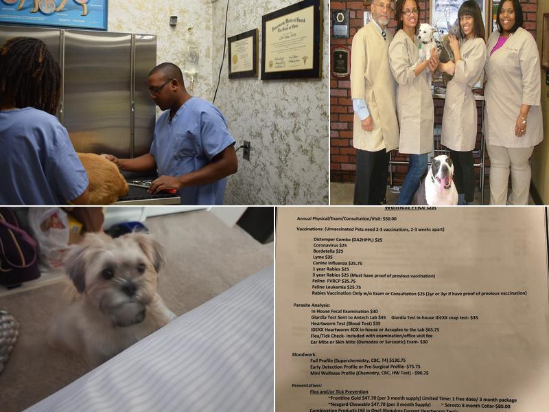 Oakcrest Veterinary Clinic